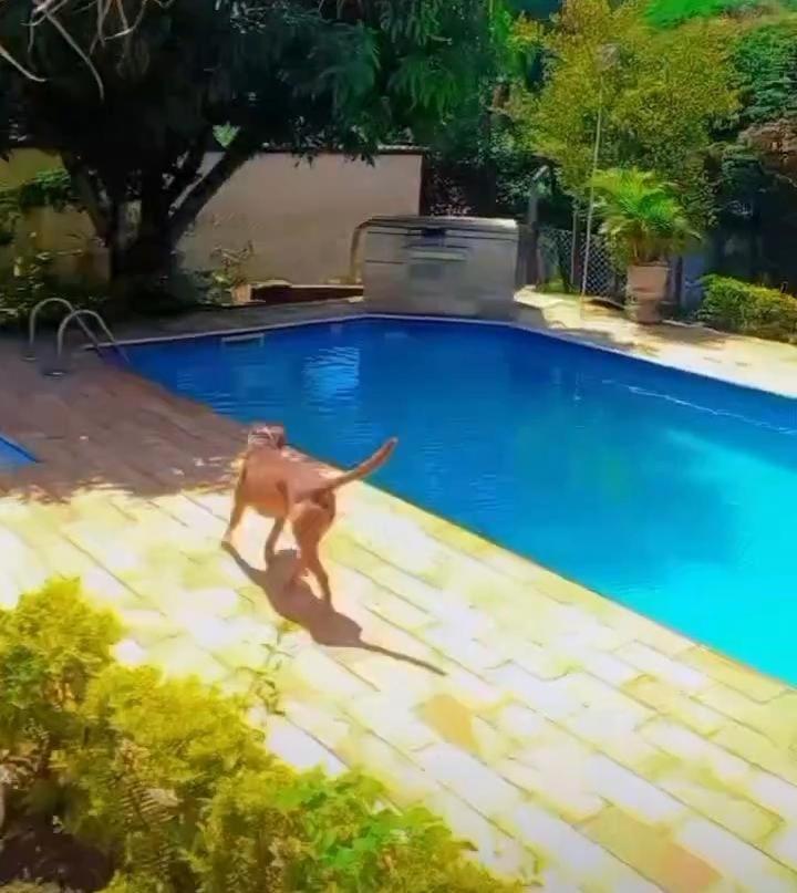 Casa Com Piscina - Itupeva Villa Екстериор снимка